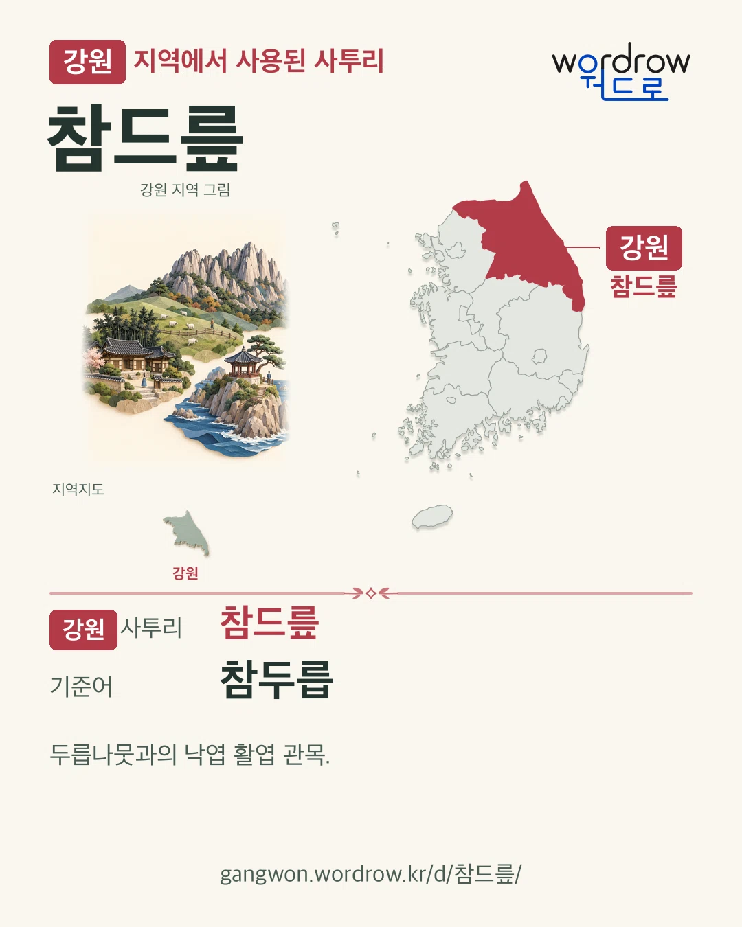 강원 지역에서 사용된 사투리 ‘참드릎’. 기준어: 참두릅. 기록 지역을 표시한 지역 그림과 지도 카드.