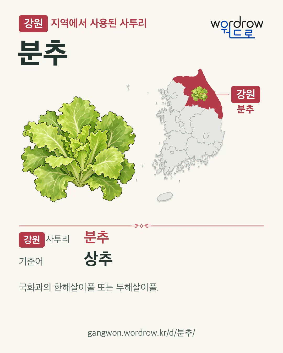 강원 지역에서 사용된 사투리 ‘분추’. 기준어: 상추. 기록 지역을 표시한 카툰 삽화와 지도 카드.