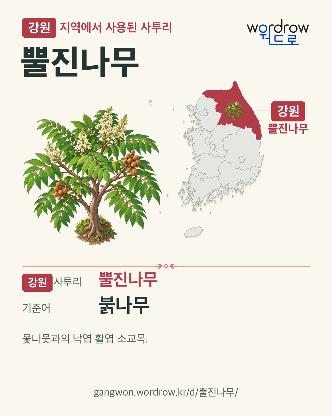 강원 지역에서 사용된 사투리 ‘뿔진나무’. 기준어: 붉나무. 기록 지역을 표시한 카툰 삽화와 지도 카드.