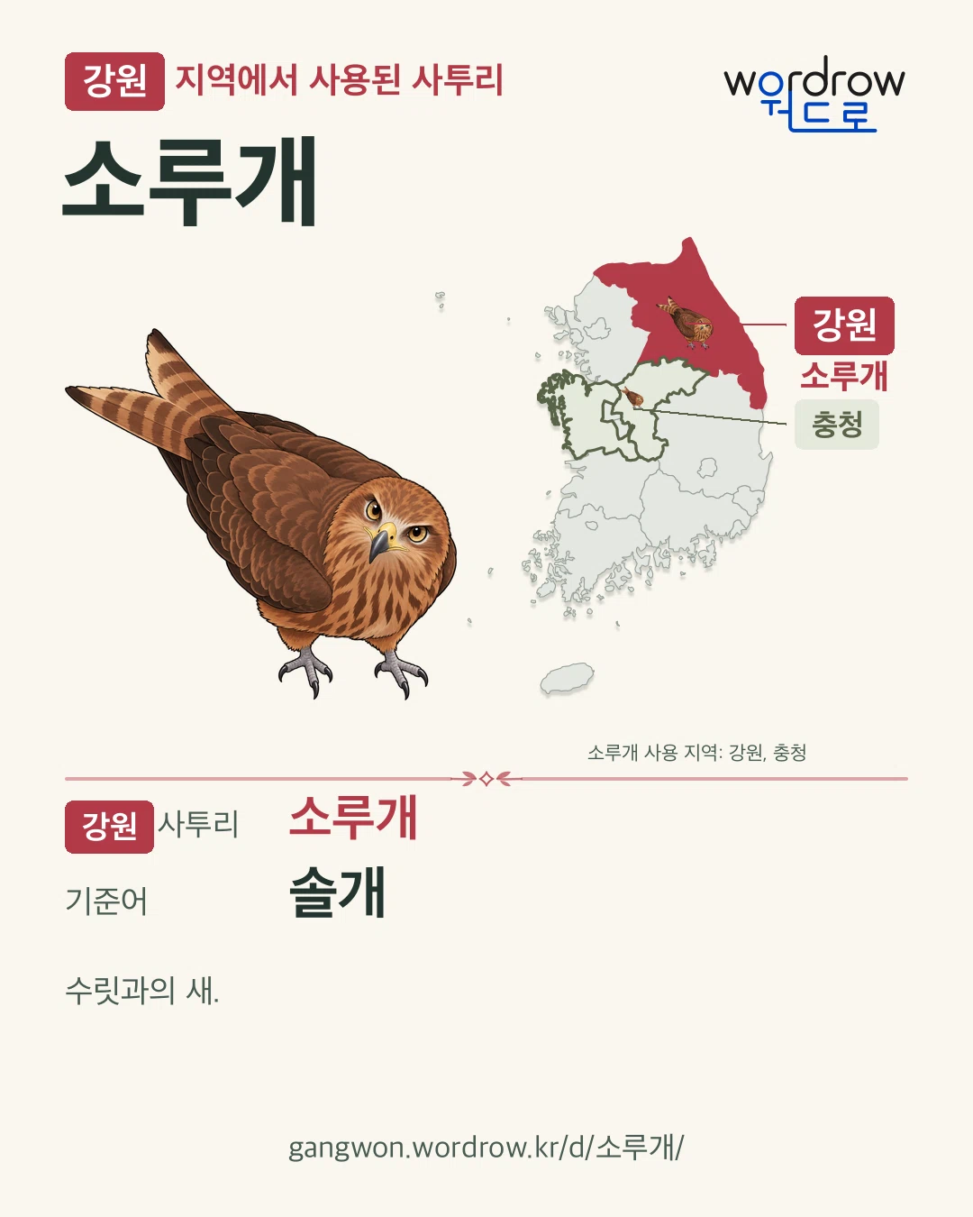 강원 지역에서 사용된 사투리 ‘소루개’. 기준어: 솔개. 기록 지역을 표시한 카툰 삽화와 지도 카드.