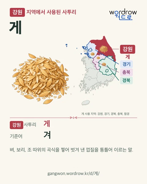 강원 지역에서 사용된 사투리 ‘게’. 기준어: 겨. 기록 지역을 표시한 카툰 삽화와 지도 카드.
