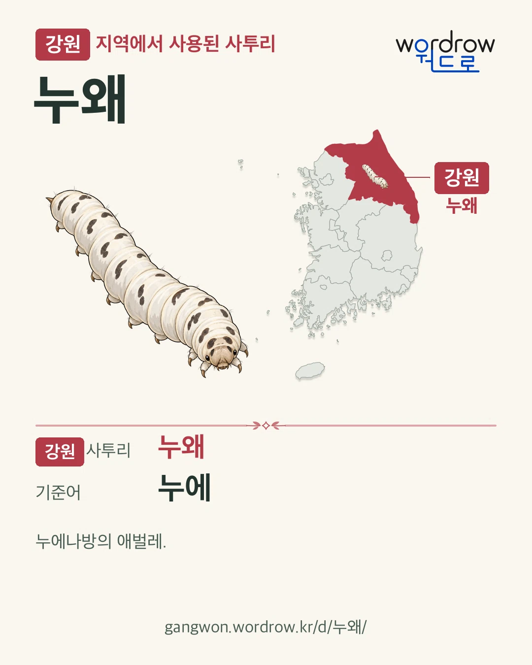 강원 지역에서 사용된 사투리 ‘누왜’. 기준어: 누에. 기록 지역을 표시한 카툰 삽화와 지도 카드.
