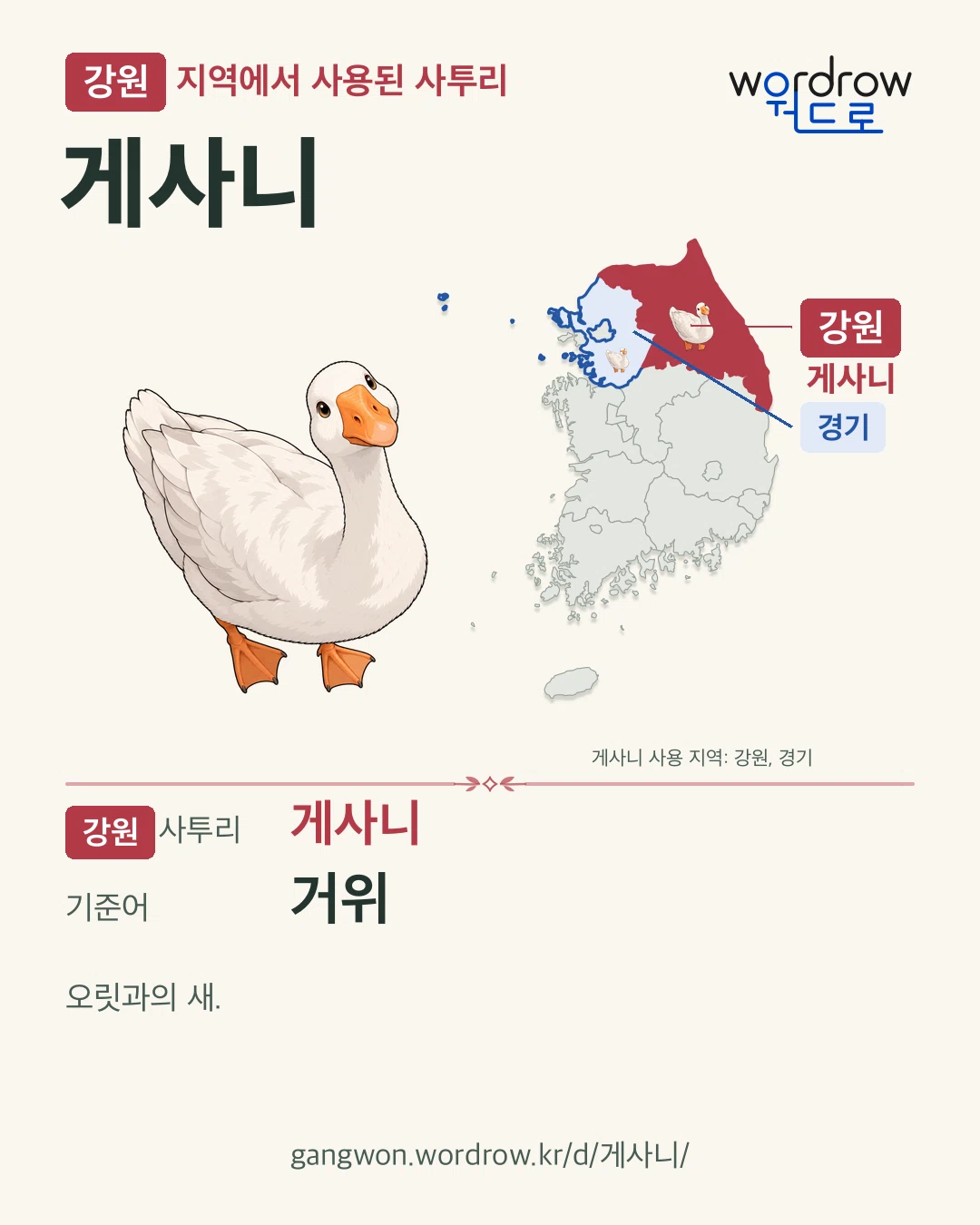 강원 지역에서 사용된 사투리 ‘게사니’. 기준어: 거위. 기록 지역을 표시한 카툰 삽화와 지도 카드.