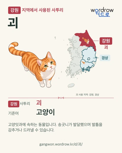 강원 지역에서 사용된 사투리 ‘괴’. 기준어: 고양이. 기록 지역을 표시한 카툰 삽화와 지도 카드.