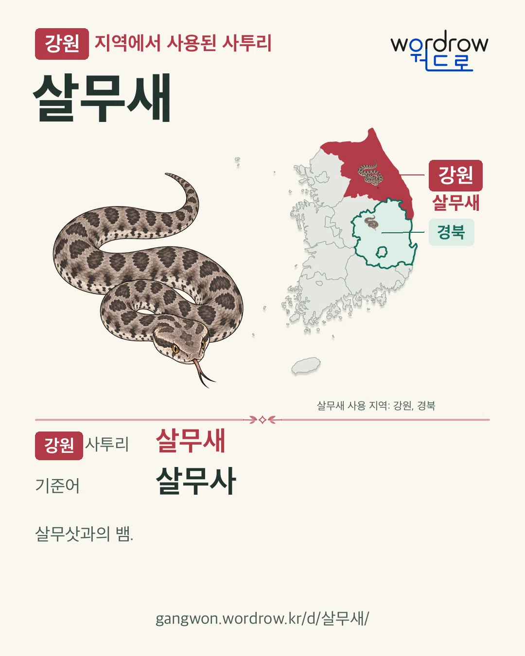 강원 지역에서 사용된 사투리 ‘살무새’. 기준어: 살무사. 기록 지역을 표시한 카툰 삽화와 지도 카드.