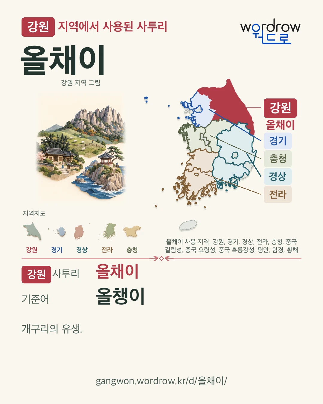 강원 지역에서 사용된 사투리 ‘올채이’. 기준어: 올챙이. 기록 지역을 표시한 지역 그림과 지도 카드.