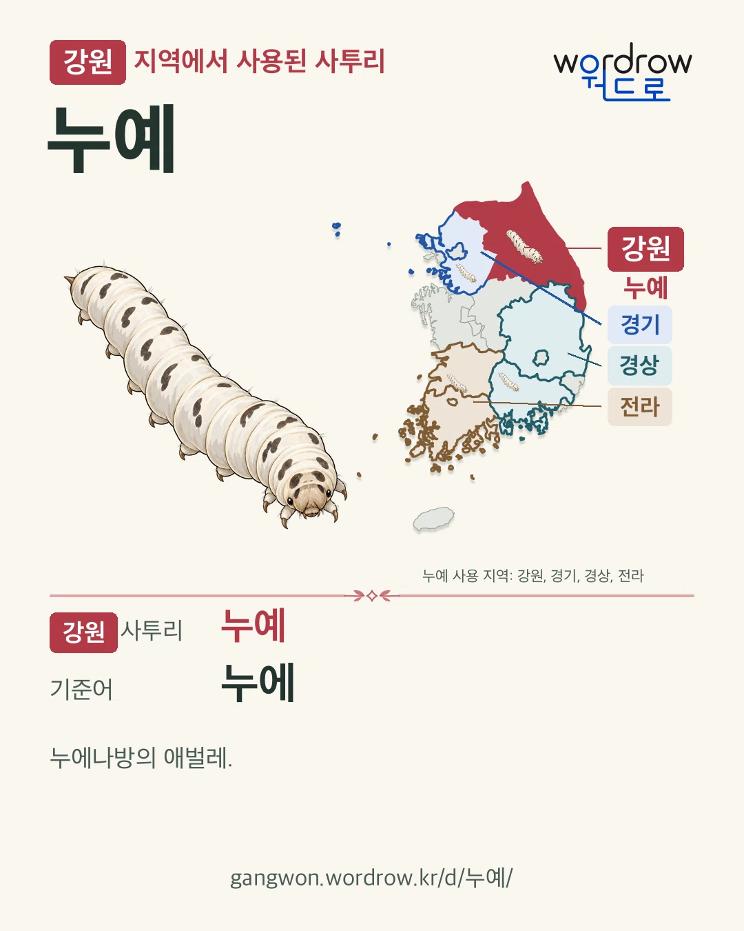 강원 지역에서 사용된 사투리 ‘누예’. 기준어: 누에. 기록 지역을 표시한 카툰 삽화와 지도 카드.