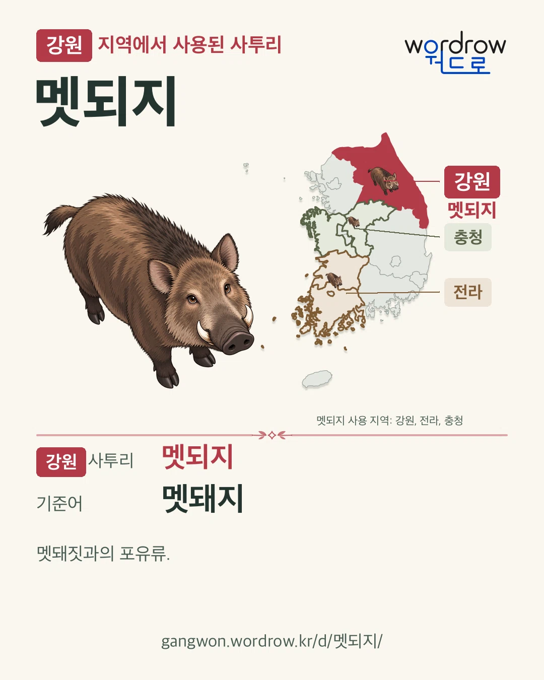 강원 지역에서 사용된 사투리 ‘멧되지’. 기준어: 멧돼지. 기록 지역을 표시한 카툰 삽화와 지도 카드.
