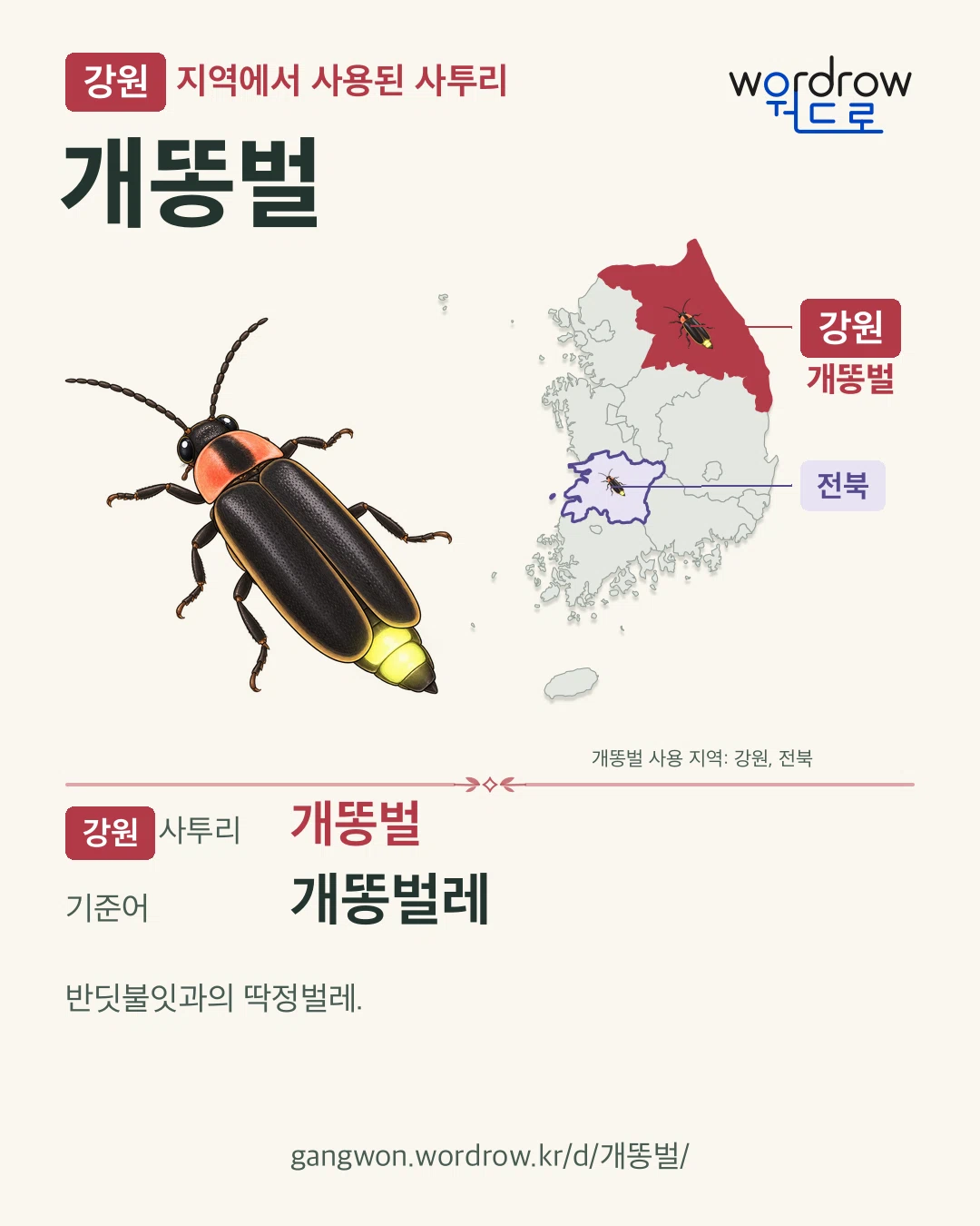 강원 지역에서 사용된 사투리 ‘개똥벌’. 기준어: 개똥벌레. 기록 지역을 표시한 카툰 삽화와 지도 카드.