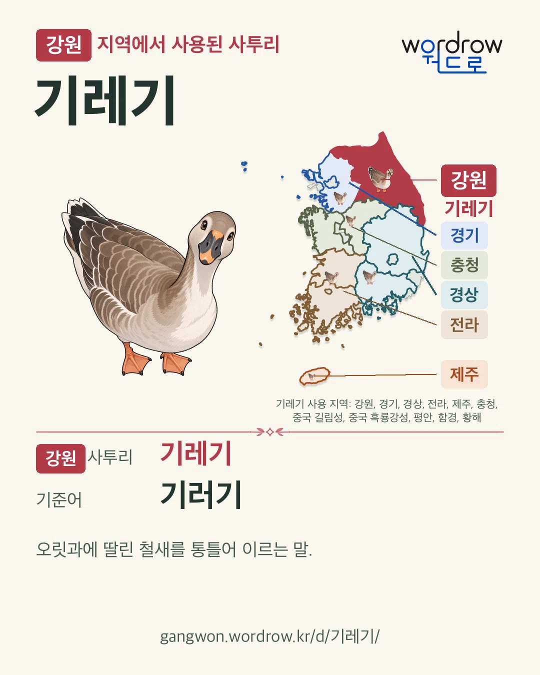 강원 지역에서 사용된 사투리 ‘기레기’. 기준어: 기러기. 기록 지역을 표시한 카툰 삽화와 지도 카드.
