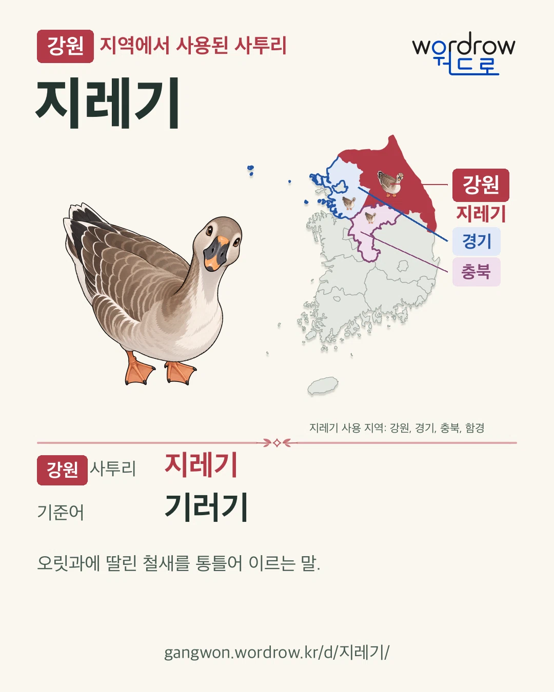 강원 지역에서 사용된 사투리 ‘지레기’. 기준어: 기러기. 기록 지역을 표시한 카툰 삽화와 지도 카드.