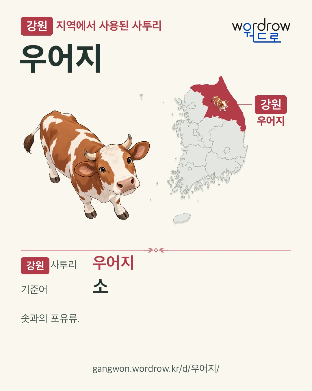 강원 지역에서 사용된 사투리 ‘우어지’. 기준어: 소. 기록 지역을 표시한 카툰 삽화와 지도 카드.