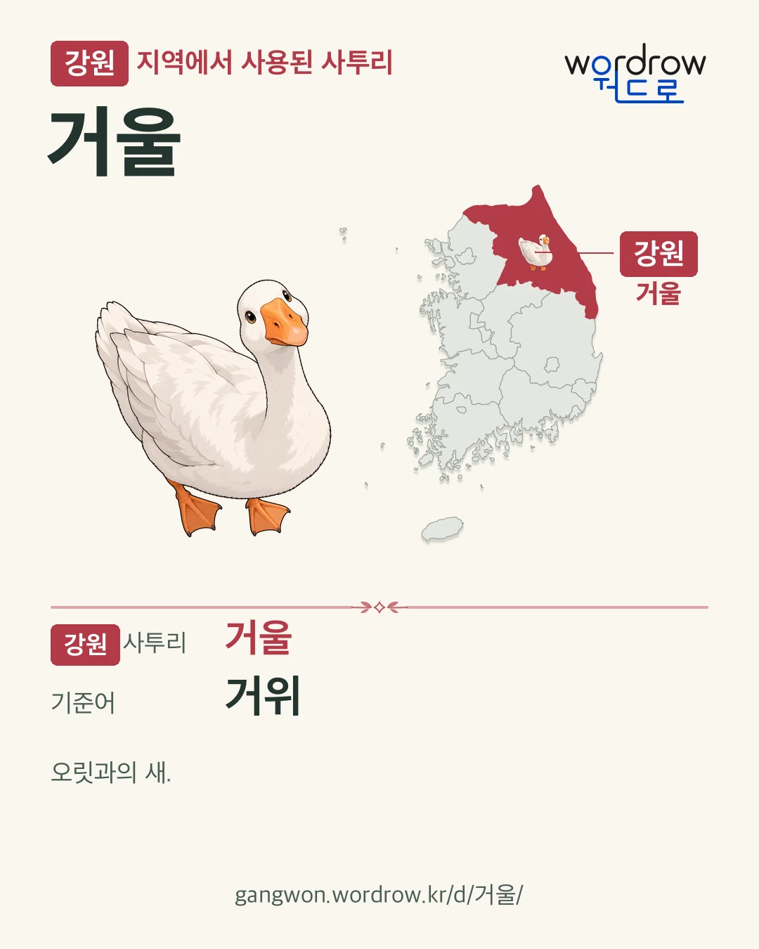 강원 지역에서 사용된 사투리 ‘거울’. 기준어: 거위. 기록 지역을 표시한 카툰 삽화와 지도 카드.