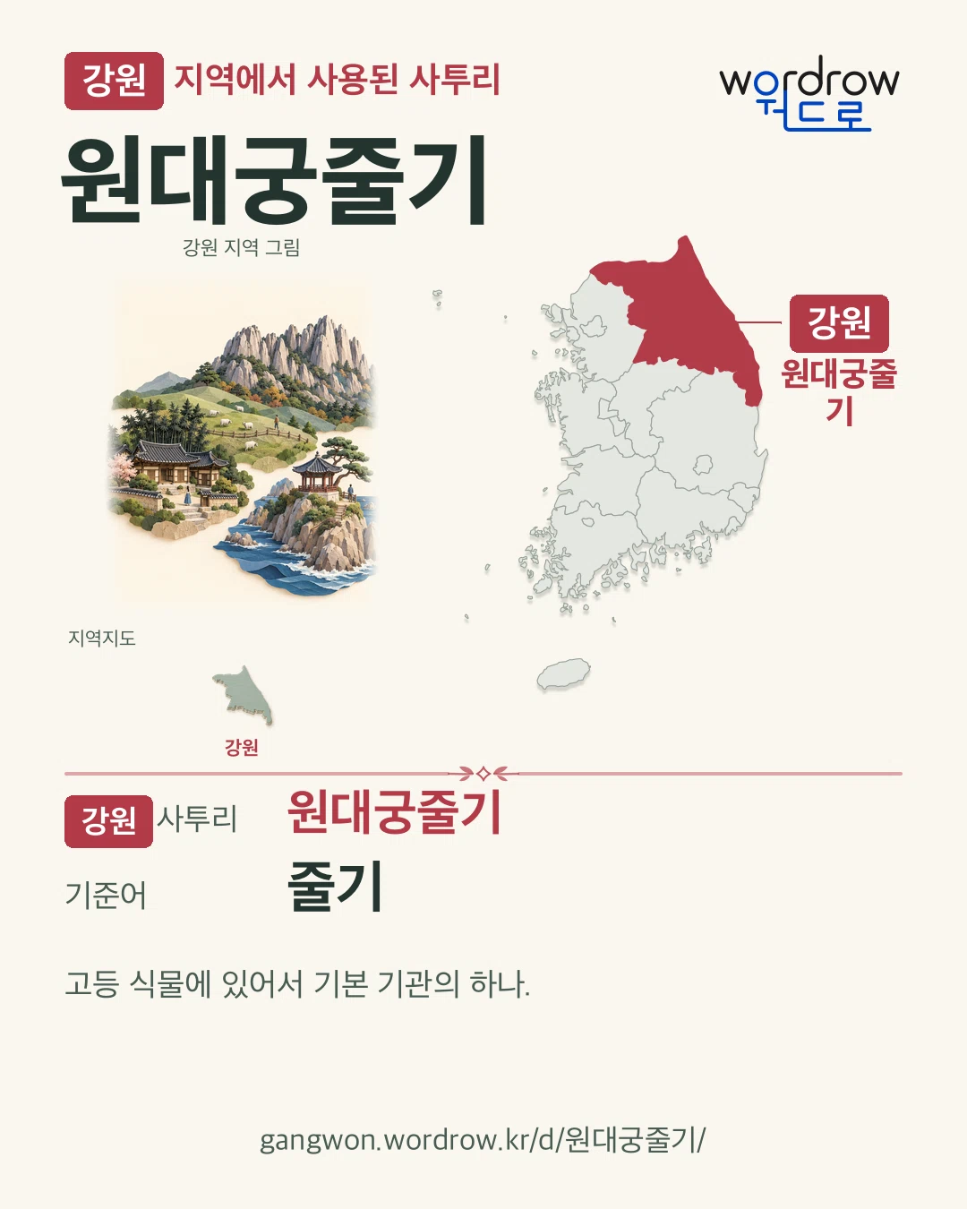 강원 지역에서 사용된 사투리 ‘원대궁줄기’. 기준어: 줄기. 기록 지역을 표시한 지역 그림과 지도 카드.