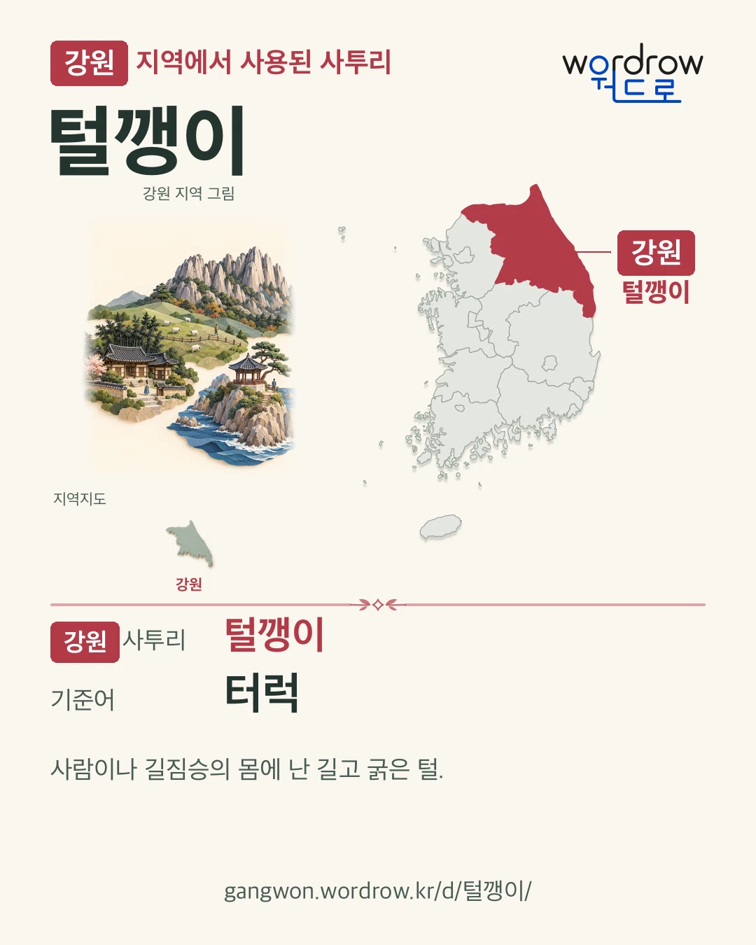 강원 지역에서 사용된 사투리 ‘털깽이’. 기준어: 터럭. 기록 지역을 표시한 지역 그림과 지도 카드.