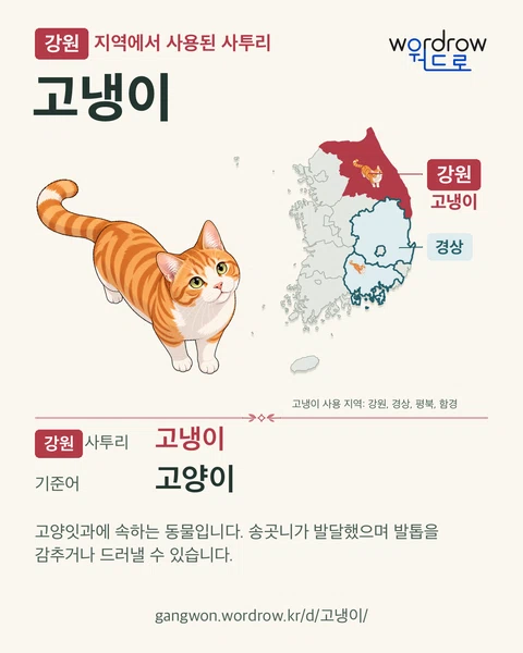 강원 지역에서 사용된 사투리 ‘고냉이’. 기준어: 고양이. 기록 지역을 표시한 카툰 삽화와 지도 카드.